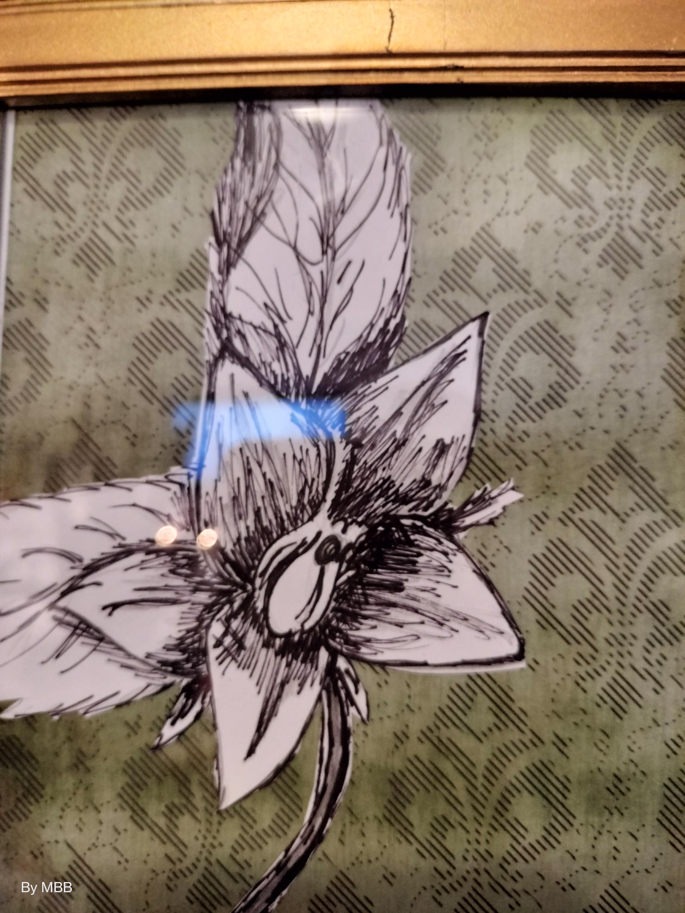 The deadly garden - Mandrake