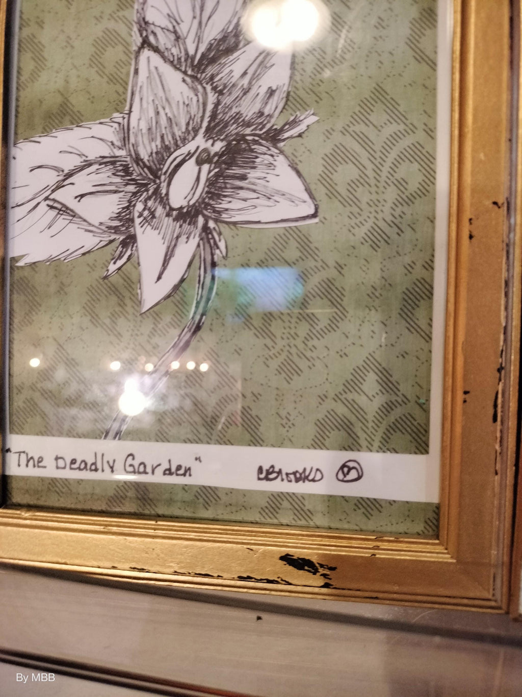 The deadly garden - Mandrake