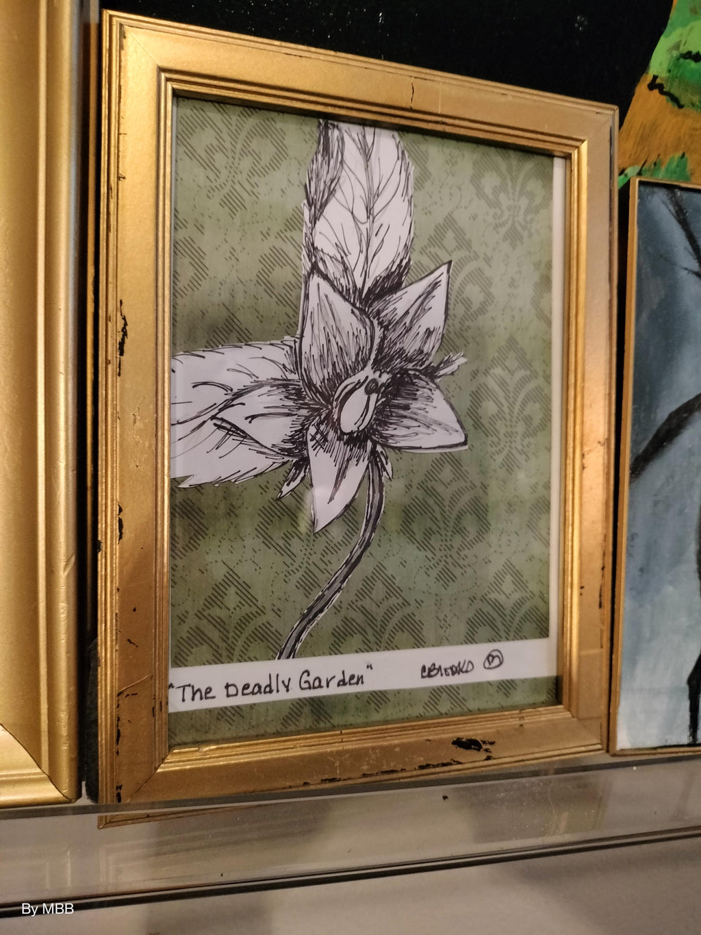 The deadly garden - Mandrake