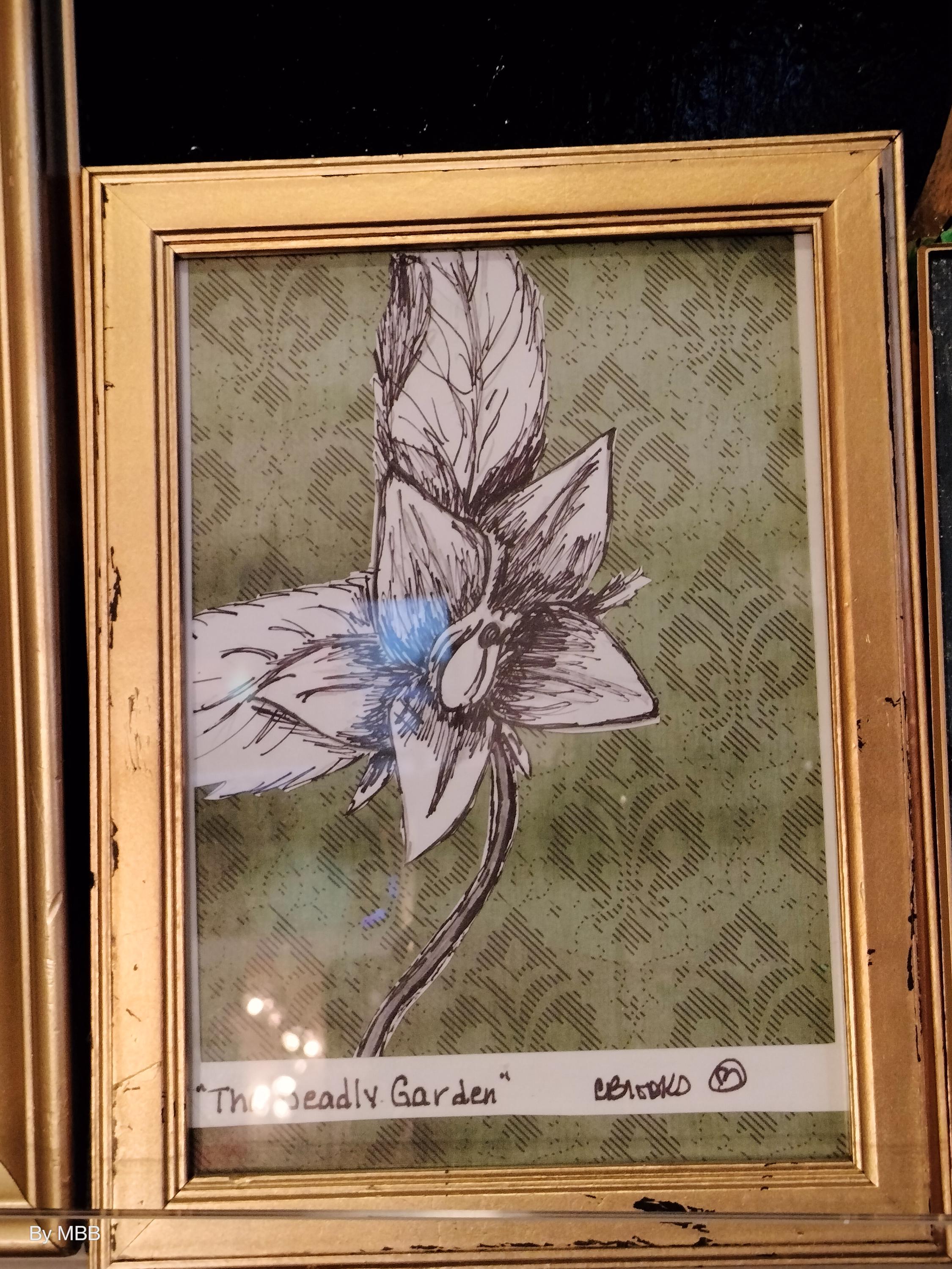 The deadly garden - Mandrake