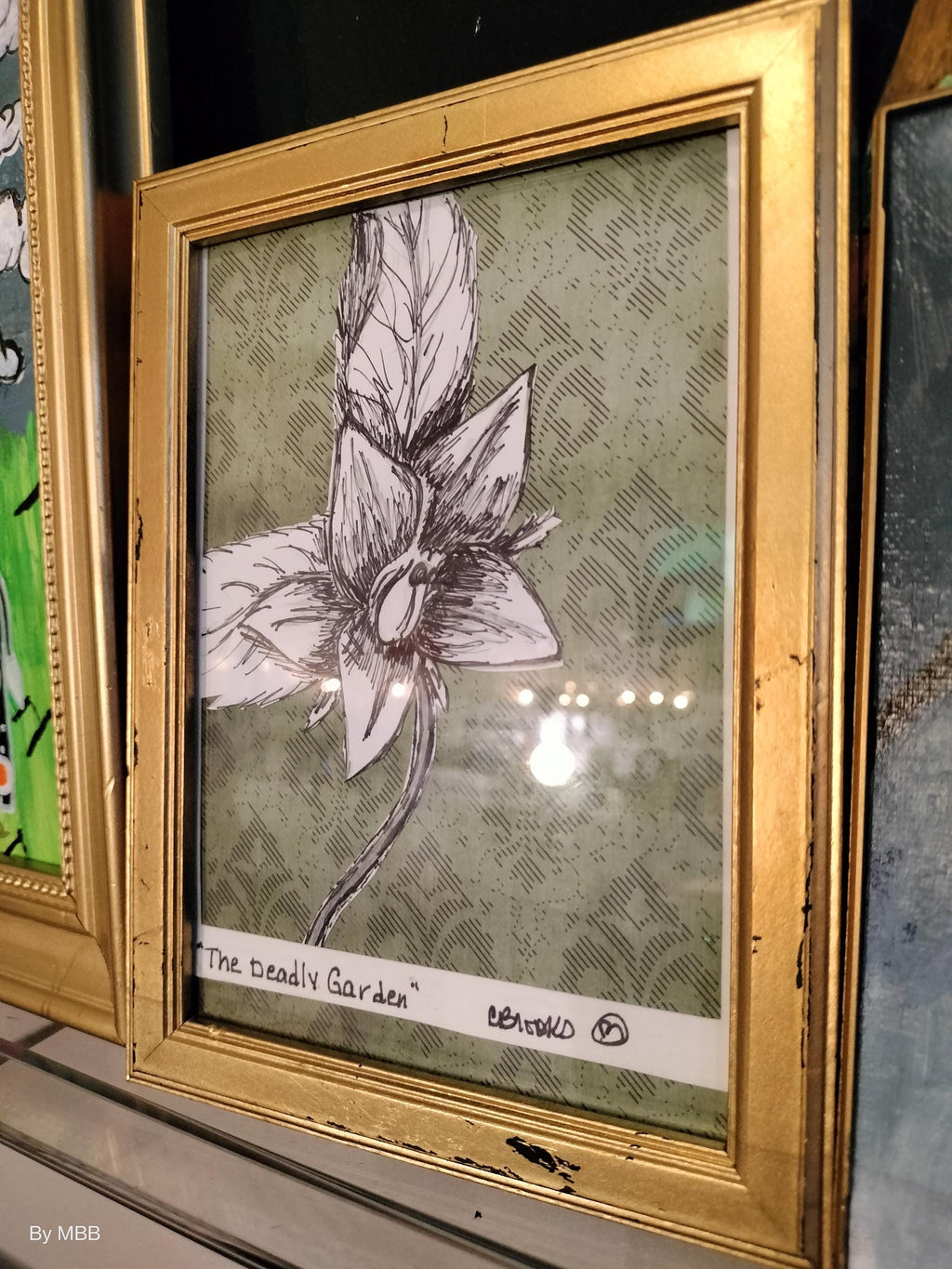 The deadly garden - Mandrake