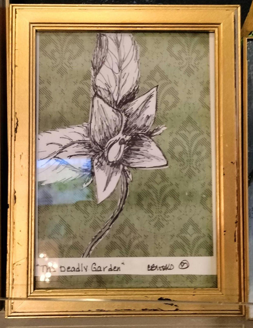 The deadly garden - Mandrake